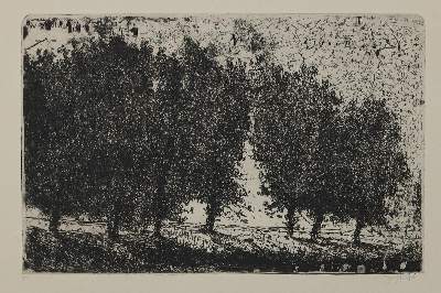 Bild Nr.2: 131-3257 Janssen, Horst: (Künstlergraphik)