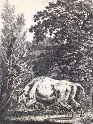 Bild Nr.1: 131-3326 Kolbe, Carl Wilhelm d.Ä.: (Künstlergraphik)