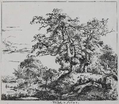 Bild Nr.1: 131-3636 Ruisdael, Jacob Isaackszoon: (Künstlergraphik)