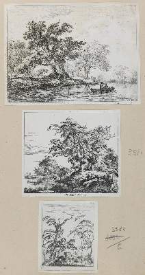 Bild Nr.2: 131-3636 Ruisdael, Jacob Isaackszoon: (Künstlergraphik)