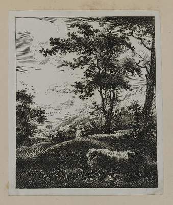 Bild Nr.2: 131-3637 Ruisdael, Jacob Isaackszoon: (Künstlergraphik)