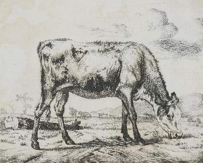 Bild Nr.1: 131-3800 Velde, Adriaen van de: (Künstlergraphik)