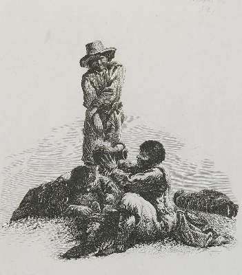 Bild Nr.2: 131-3800 Velde, Adriaen van de: (Künstlergraphik)