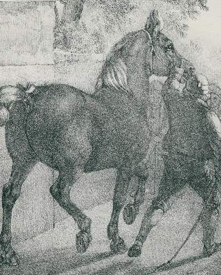 Bild Nr.3: 131-3816 Volmar, Joseph Simon: (Künstlergraphik)
