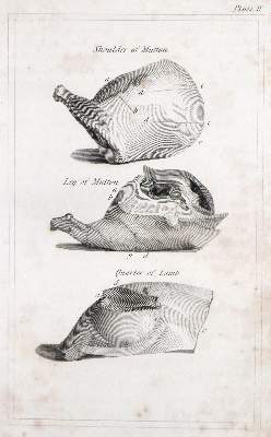 Bild Nr.1: 131-515 (Rundell,M.E.).: (Küche und Haushalt, Kochbücher)