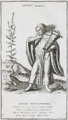 Bild Nr.1: 131-536 Montfaucon,B.de.: (Archäologie)