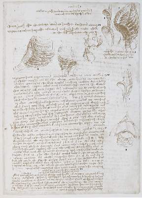 Bild Nr.2: 131-620 Leonardo da Vinci.: (Faksimile)