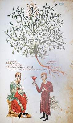Bild Nr.1: 131-623 Medicina antiqua libri quattuor medecinae.: (Faksimile)