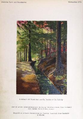 Bild Nr.2: 131-671 Morgenstern,E. (Hrsg.).: (Typographie und Kalligraphie)