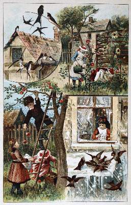 Bild Nr.2: 131-794 Spamer-Verlag.: (Kinder- und Jugendbücher)