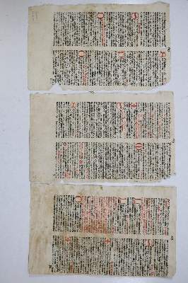 Bild Nr.210: 131-96 Einbandmakulatur.: (Alte Drucke, Handschriften und Theologie)