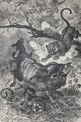Bild Nr.4: 131-967 May,K.: (Literatur und illustrierte Bücher bis 19.Jahrhundert)