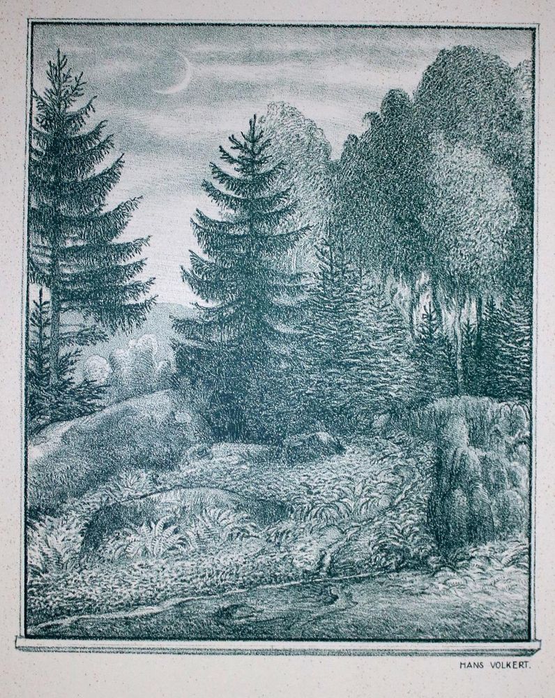 Große Abbildung Nr.2: 132-1120 Volkert,H.: (Eichendorff)