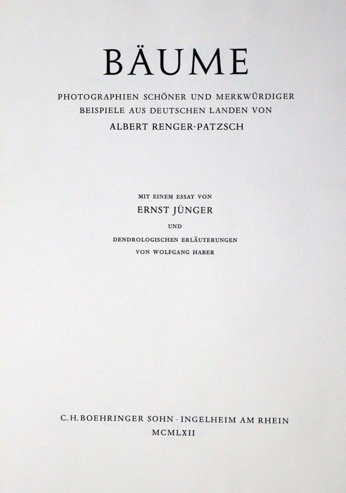 Große Abbildung Nr.2: 132-1232 Renger-Patzsch,A.: (Photographie)
