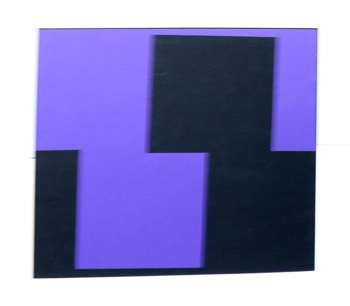 Große Abbildung Nr.14: 132-1295 Descartes,R.: (Vasarely)