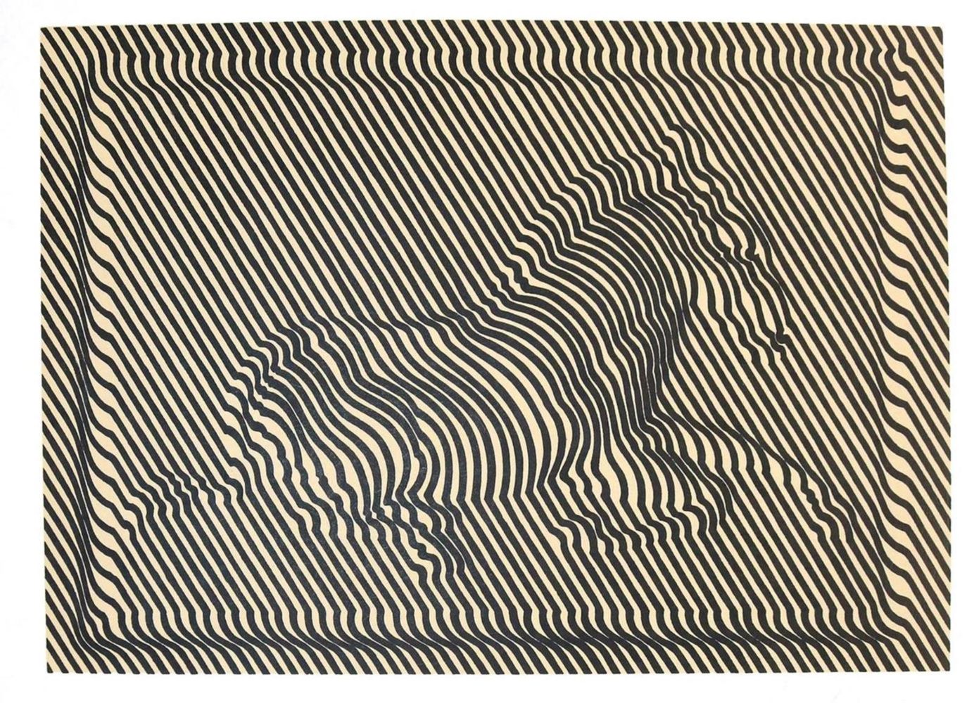 Große Abbildung Nr.3: 132-1295 Descartes,R.: (Vasarely)