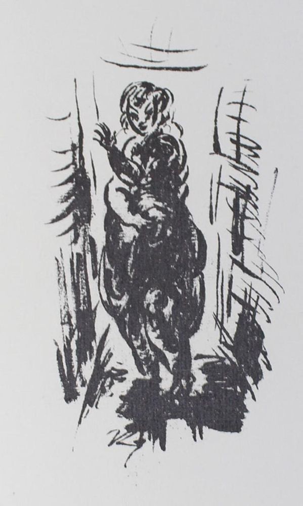 Große Abbildung Nr.1: 132-1311 Ziegler, Richard: (Literatur und illustrierte Bücher 20.Jahrhundert - Alte Literatur in modernen Ausgaben)
