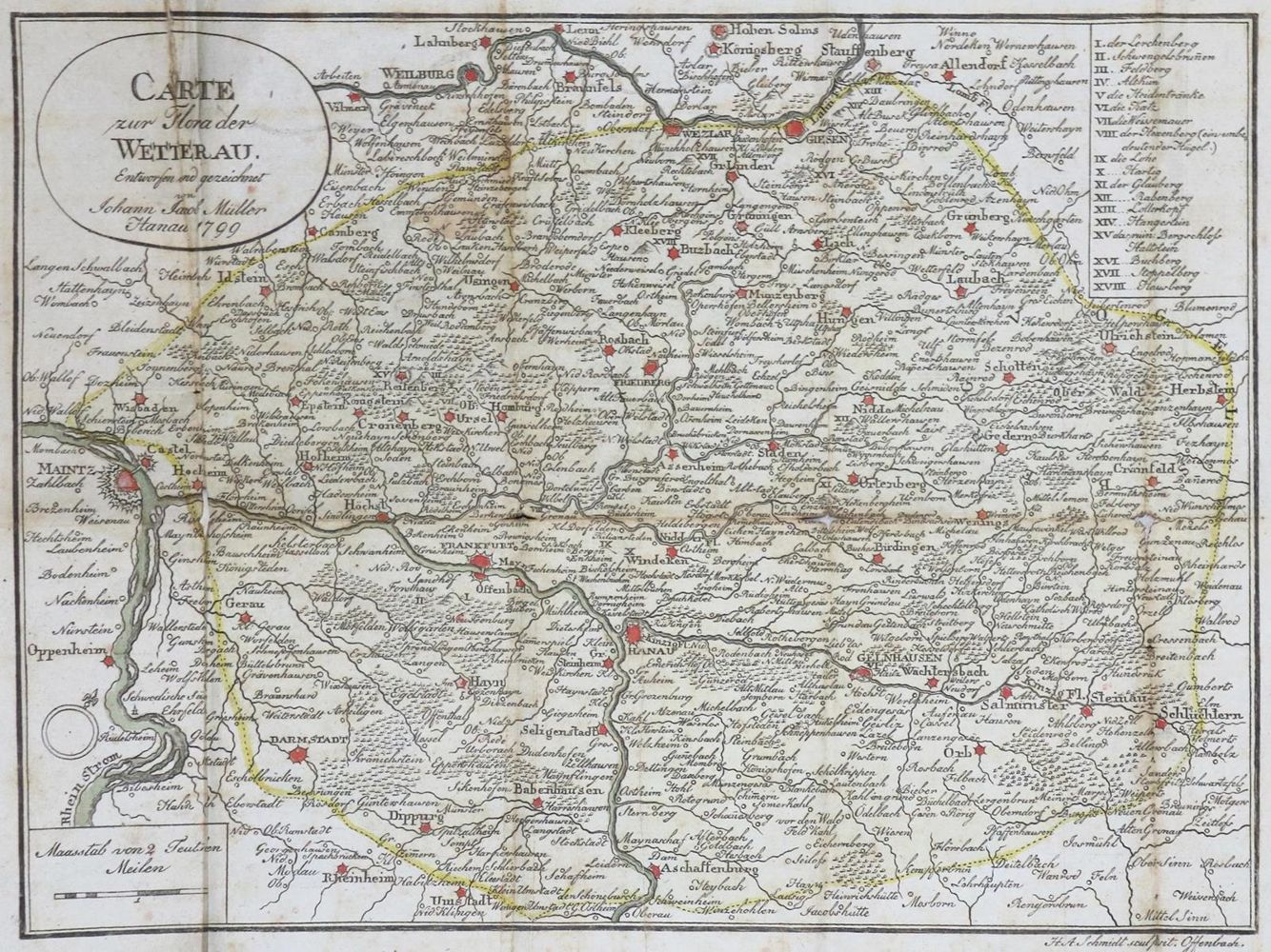 Große Abbildung Nr.1: 132-1319 Gärtner,G. u.a.: (Botanik)