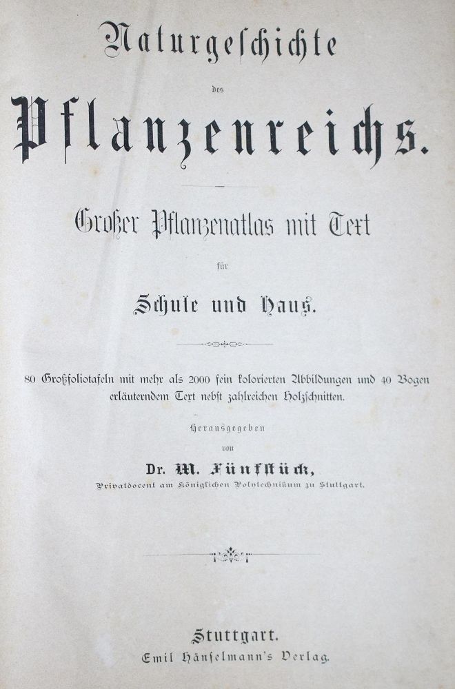 Große Abbildung Nr.1: 132-1320 Grieken,T.M.M.v.: (Botanik)