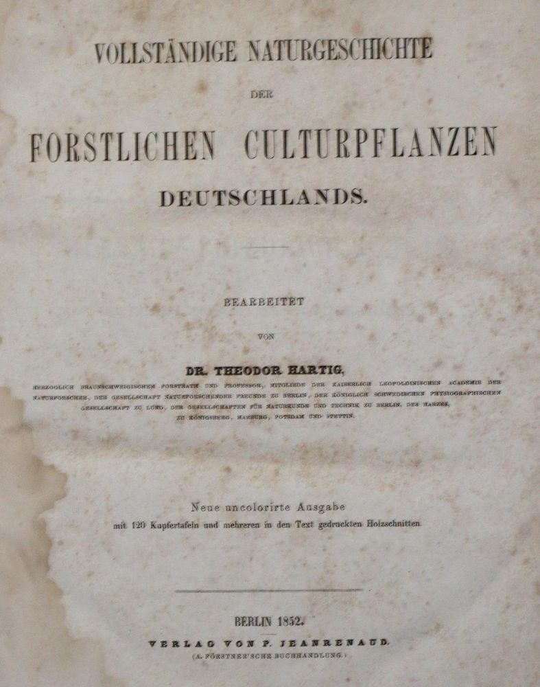 Große Abbildung Nr.3: 132-1321 Hartig,T.: (Botanik)