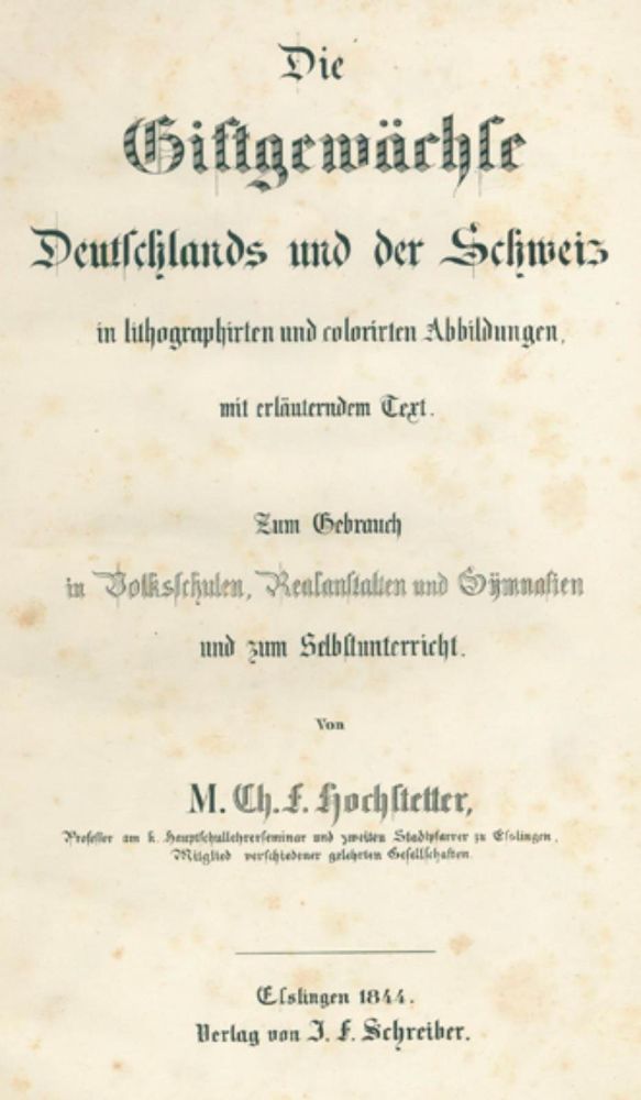 Große Abbildung Nr.1: 132-1322 Hochstetter,C.F.: (Botanik)