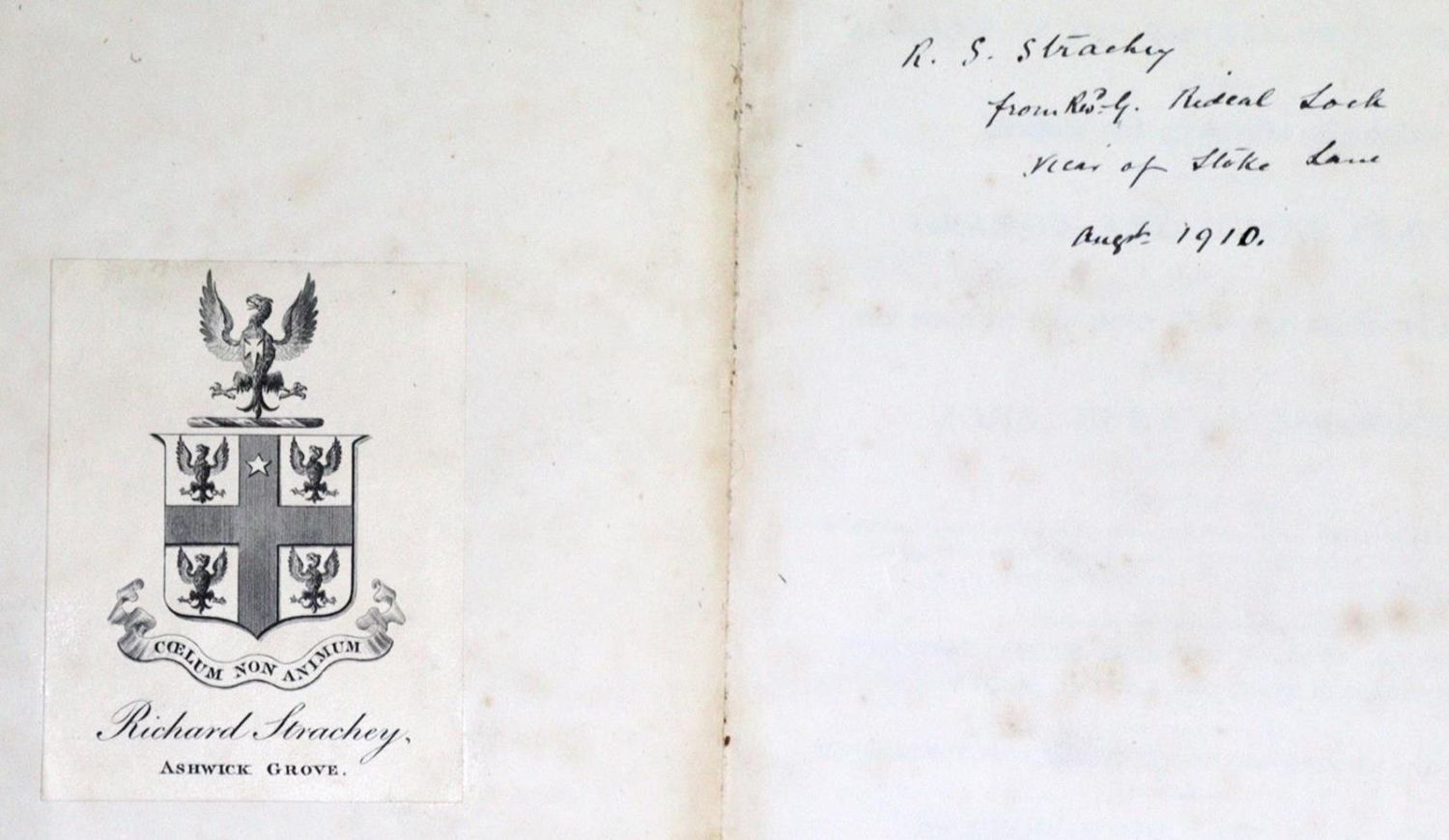Große Abbildung Nr.5: 132-1340 Sinclair,G.: (Botanik)
