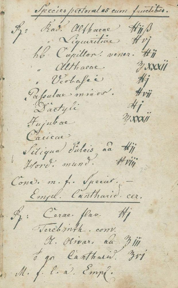 Große Abbildung Nr.1: 132-1363 Apothekerbuch: (Medizin, Handschriften, Pharmazie)