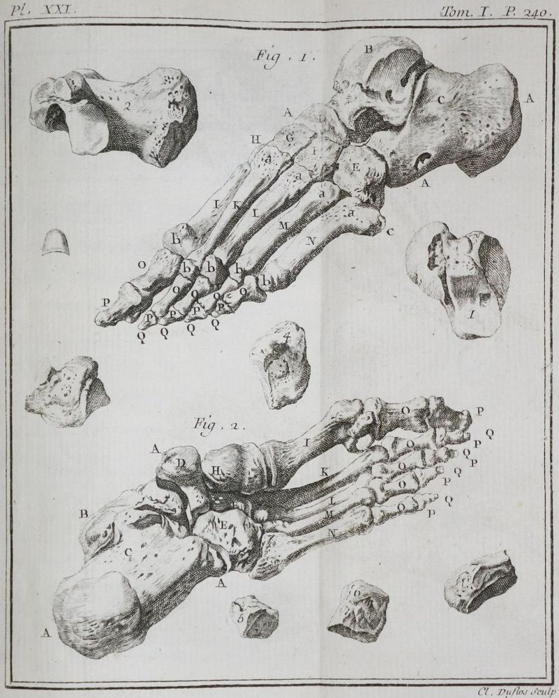 Große Abbildung Nr.1: 132-1380 Palfyn,J.: (Medizin)