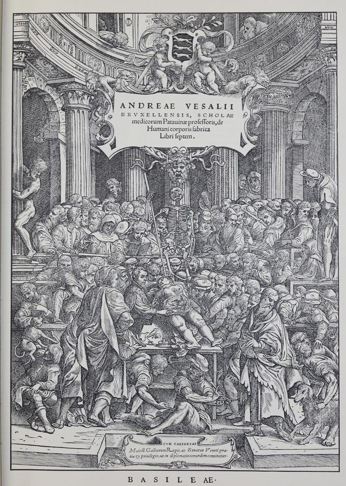 Große Abbildung Nr.1: 132-1395 Vesalius,A.: (Medizin)