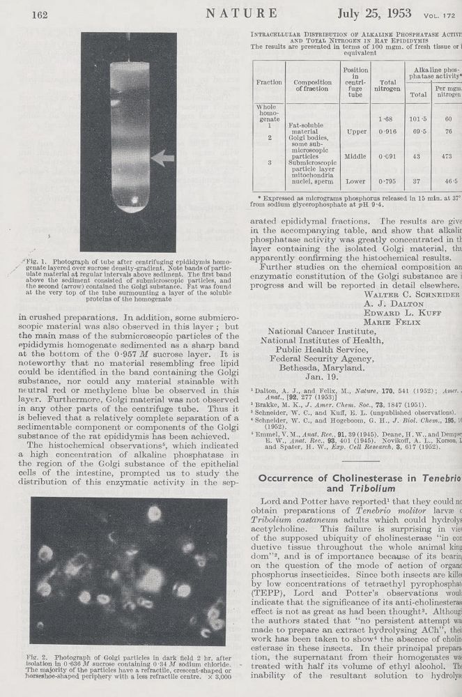 Große Abbildung Nr.3: 132-1396 Watson,J.D. u.a.: (Medizin)