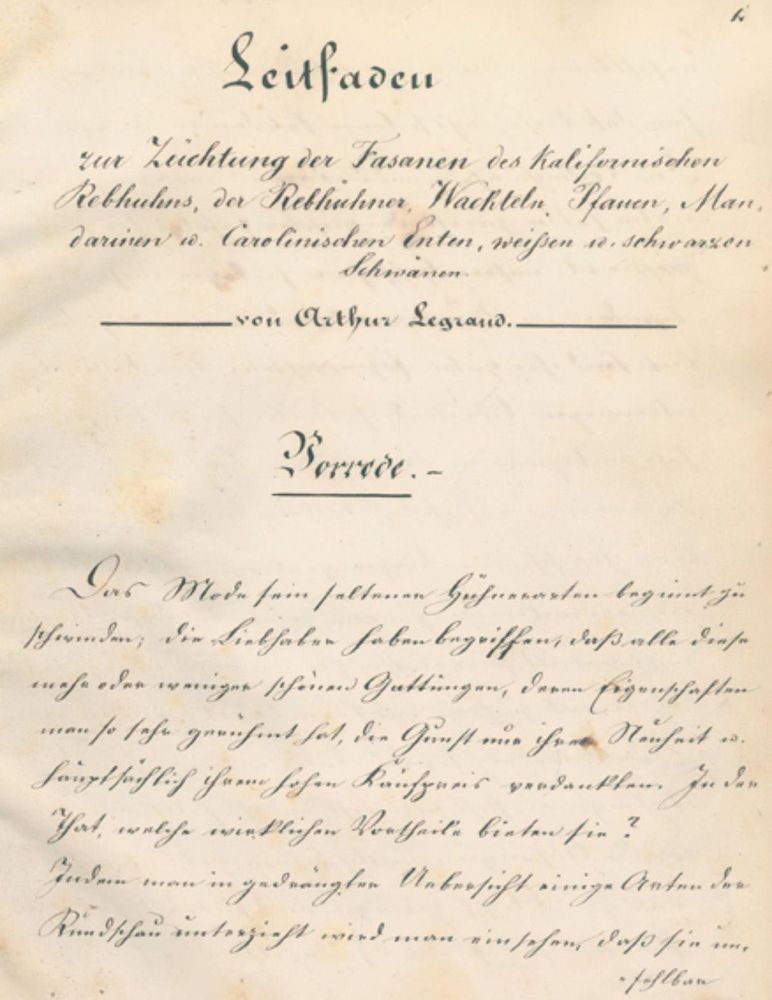 Große Abbildung Nr.1: 132-1406 Legrand,A.: (Zoologie, Fasane)