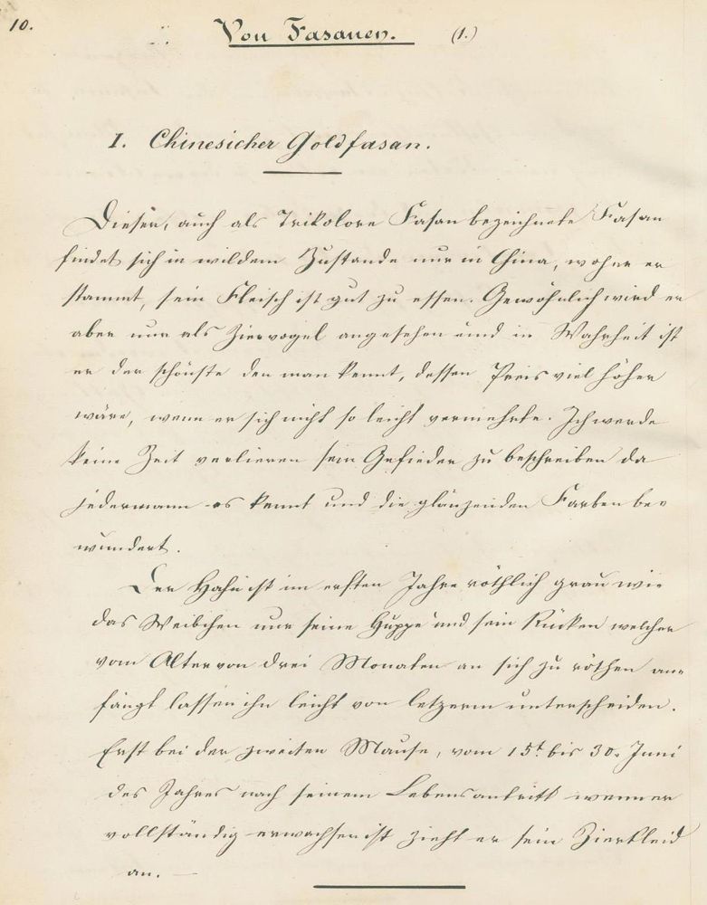 Große Abbildung Nr.2: 132-1406 Legrand,A.: (Zoologie, Fasane)