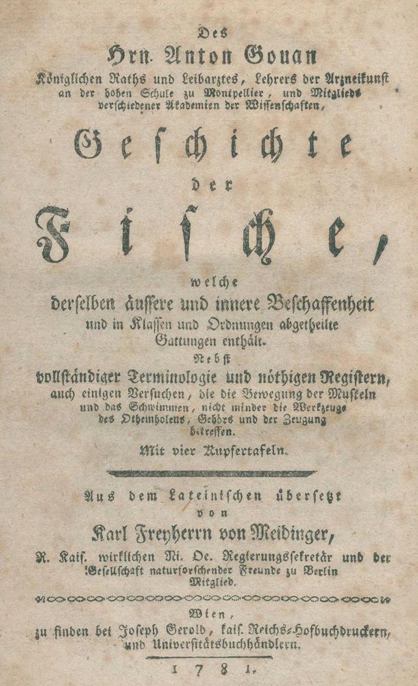 Große Abbildung Nr.2: 132-1408 Gouan,A.: (Zoologie, Fische)