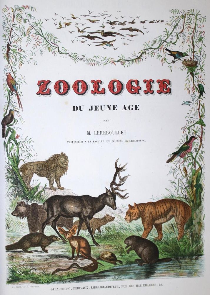 Große Abbildung Nr.1: 132-1418 Lereboullet,A.: (Zoologie)