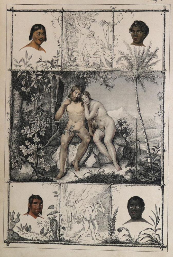 Große Abbildung Nr.1: 132-1420 Lindner,F.W.: (Zoologie)