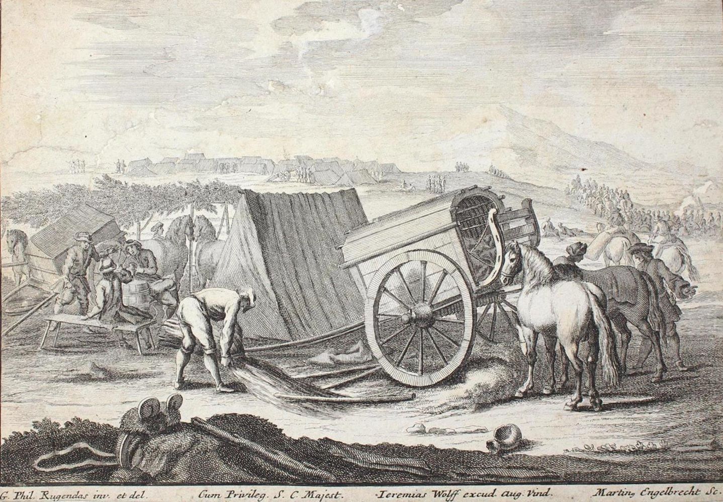 Große Abbildung Nr.1: 132-1425 Konvolut.: (Zoologie, Pferde)