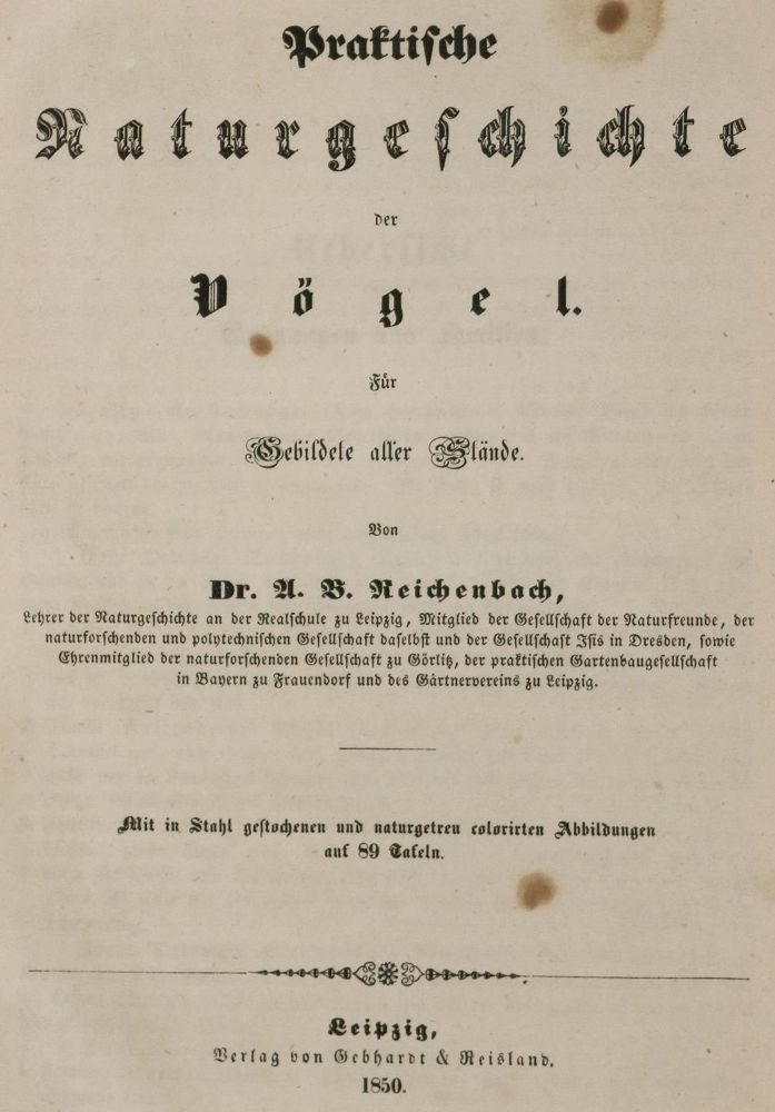 Große Abbildung Nr.1: 132-1427 Reichenbach,A.B.: (Zoologie)