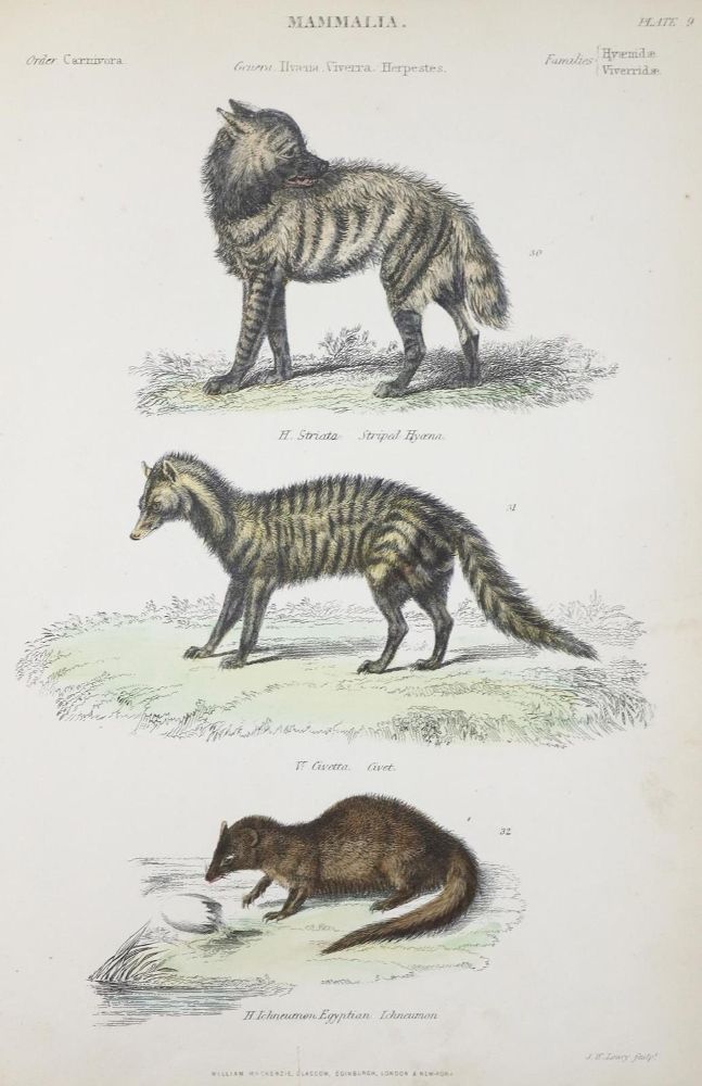 Große Abbildung Nr.2: 132-1428 Richardson,J. u.a.: (Zoologie)