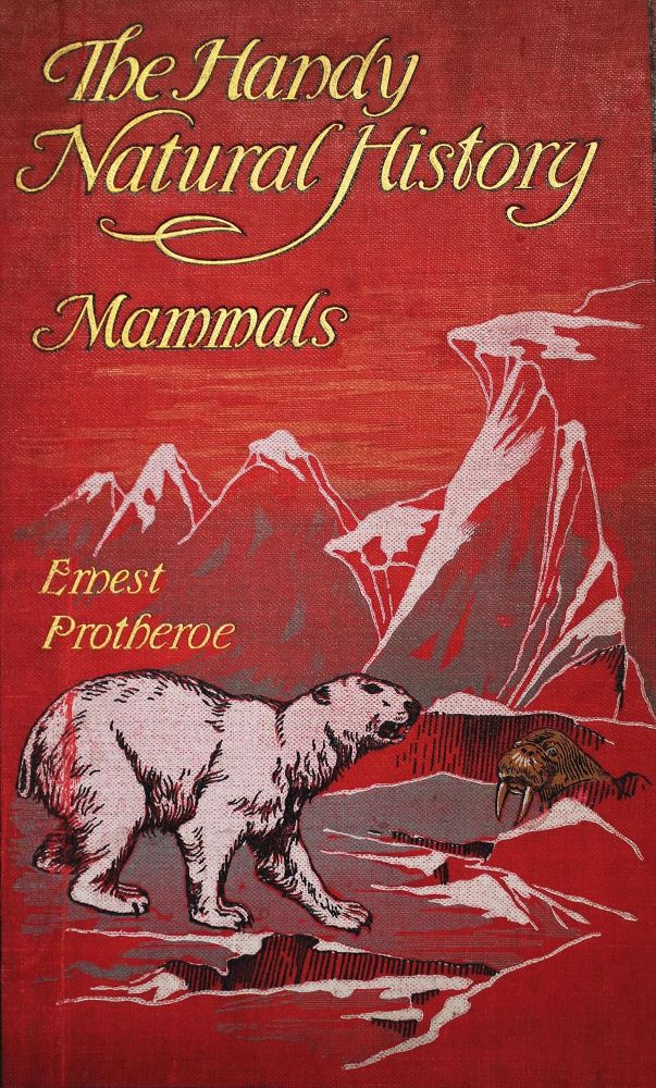 Große Abbildung Nr.1: 132-1431 Sammlung: (Zoologie)