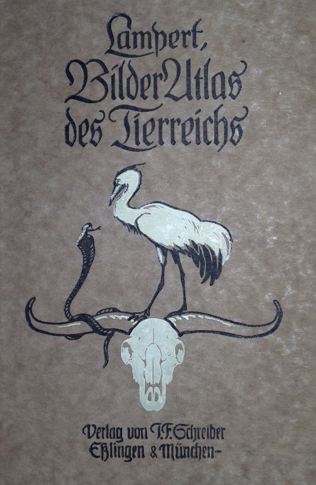 Große Abbildung Nr.1: 132-1433 Sammlung: (Zoologie)