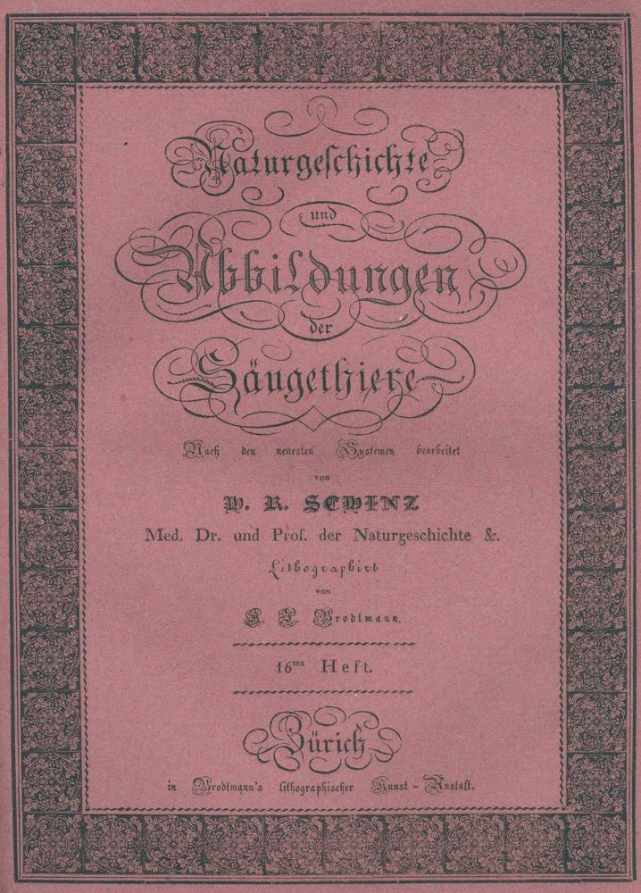 Große Abbildung Nr.2: 132-1436 Schinz,H.R.: (Zoologie)