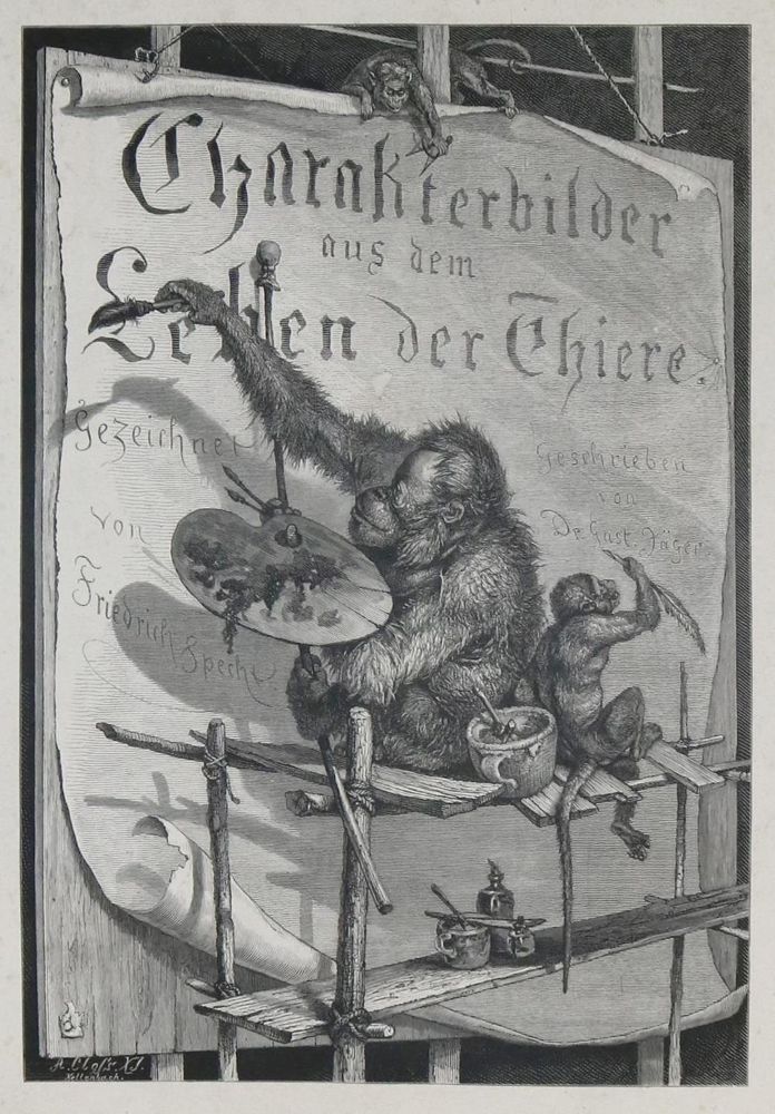 Große Abbildung Nr.1: 132-1440 Specht,F.: (Zoologie)