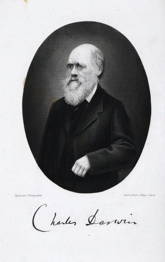 Große Abbildung Nr.2: 132-1475 Darwin,C.: (Verschiedene Gebiete - Varia)