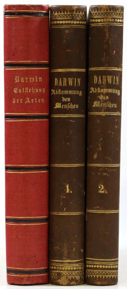 Große Abbildung Nr.7: 132-1475 Darwin,C.: (Verschiedene Gebiete - Varia)