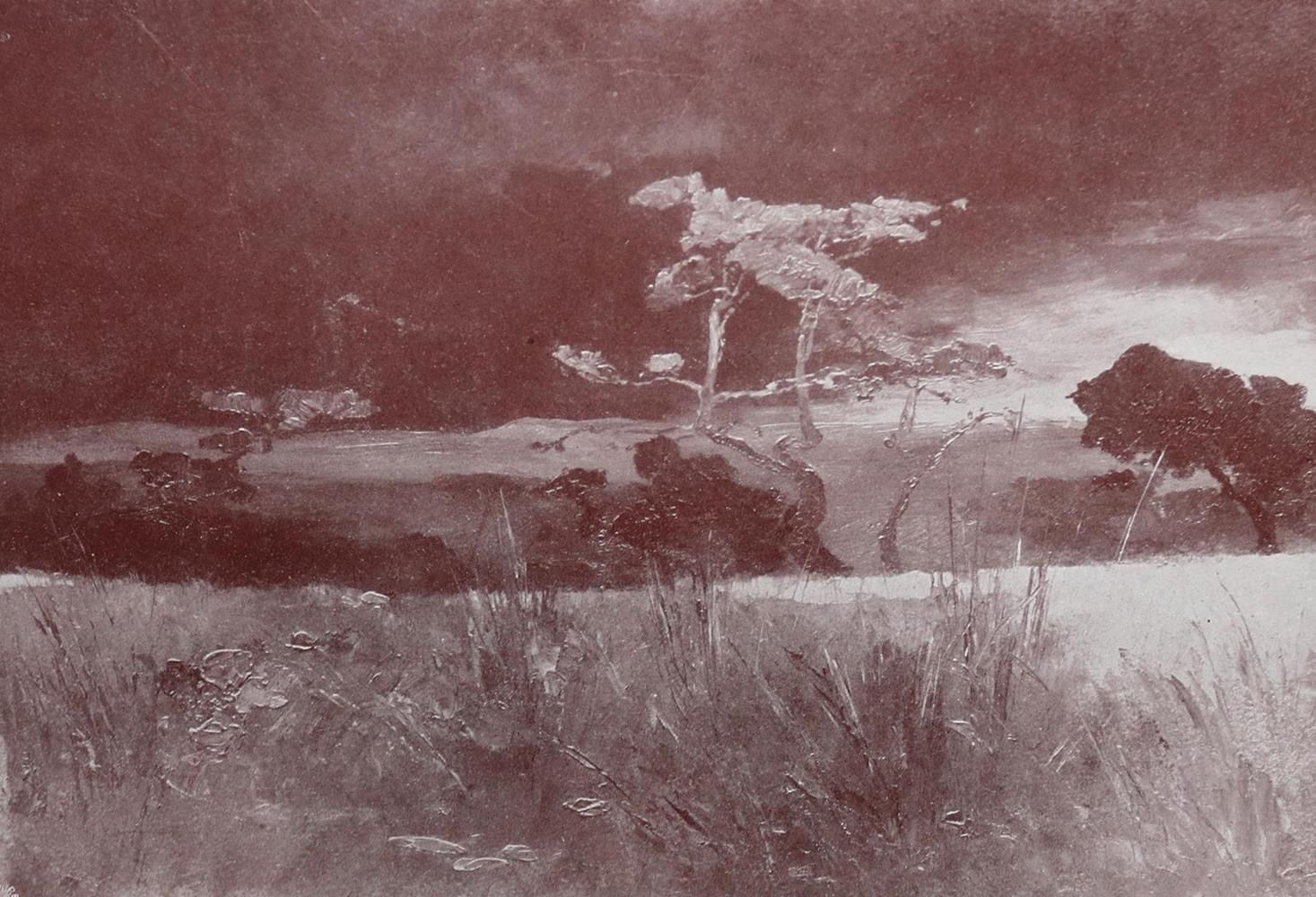 Große Abbildung Nr.2: 132-1541 Frobenius,L.: (Afrika, Einband)