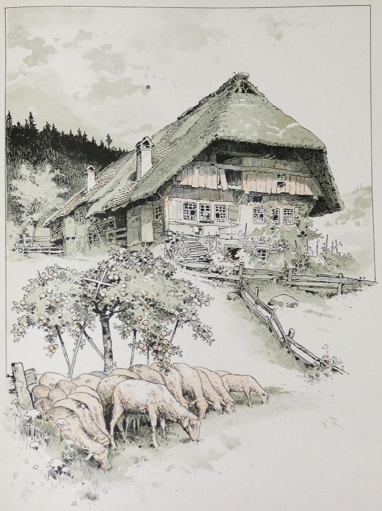 Große Abbildung Nr.1: 132-1737 Reiss,F.: (Deutschland, Schwarzwald)