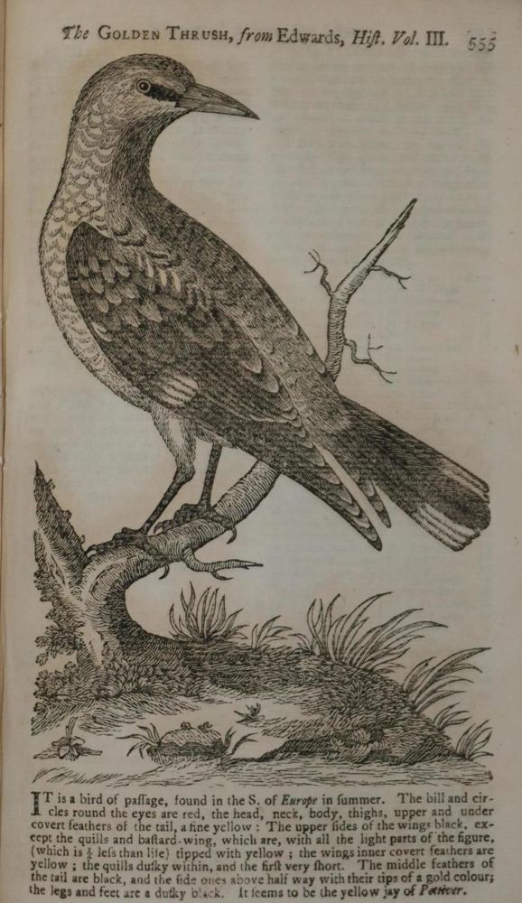 Große Abbildung Nr.8: 132-1857 Gentleman's Magazine, The,: (Verschiedene Länder - Geschichte)