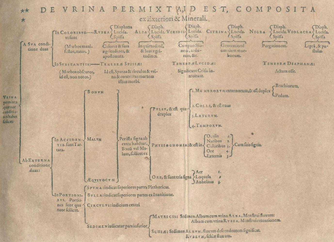 Große Abbildung Nr.2: 132-188 Paracelsus (d.i. T.B. v. Hohenheim).: (Alte Drucke, Handschriften und Theologie)