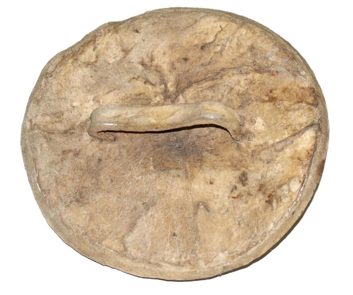 Große Abbildung Nr.2: 132-2097 Kampfschild der Borana.: (Afrika, Sammlung Wolfgang Nerlich, Schilde)