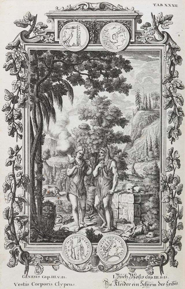 Große Abbildung Nr.2: 132-223 Scheuchzer,J.J.: (Alte Drucke, Handschriften und Theologie)